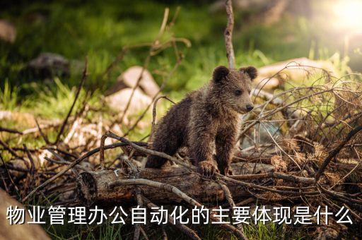 辦公自動化的關(guān)鍵技術(shù)，辦公自動化的設(shè)備