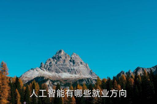 人工智能技術(shù)服務(wù)專業(yè)就業(yè)方向，人工智能的就業(yè)方向