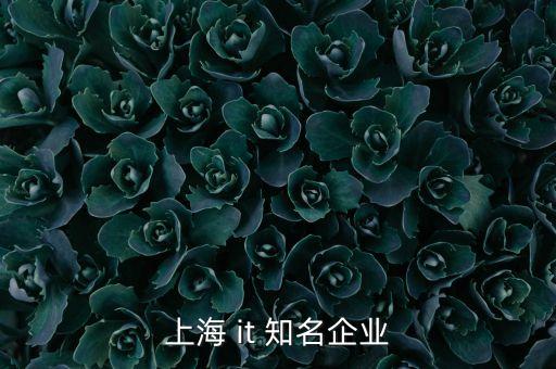 上海人工智能公司排名前十，上海比較有實(shí)力的it企業(yè)有那些