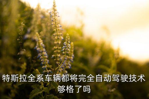 特斯拉目前自動駕駛處于哪個級別，特斯拉全系車輛都將完全自動駕駛技術(shù)夠格了嗎