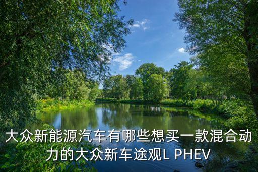 大眾新能源汽車有哪些想買一款混合動(dòng)力的大眾新車途觀L PHEV