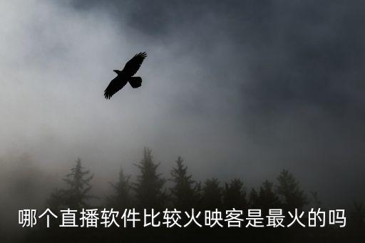 vr直播平臺哪個火，十大直播平臺 哪個直播平臺最火