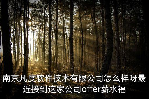 南京凡度軟件技術(shù)有限公司怎么樣呀最近接到這家公司offer薪水福
