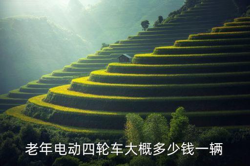 老年電動(dòng)四輪車大概多少錢一輛
