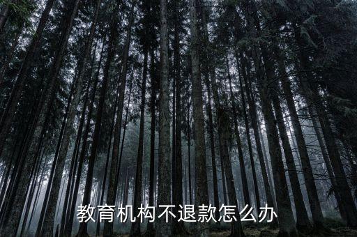 教育機(jī)構(gòu)不退款怎么辦