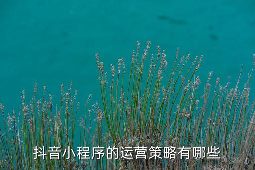 抖音小程序的運(yùn)營(yíng)策略有哪些