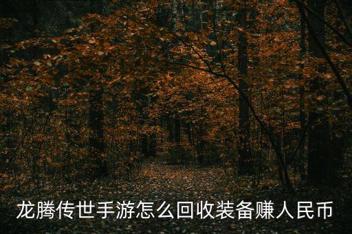 龍騰傳世手游怎么回收裝備賺人民幣