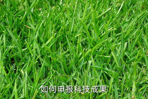科技創(chuàng)新成果申報(bào)，如何申報(bào)科技成果