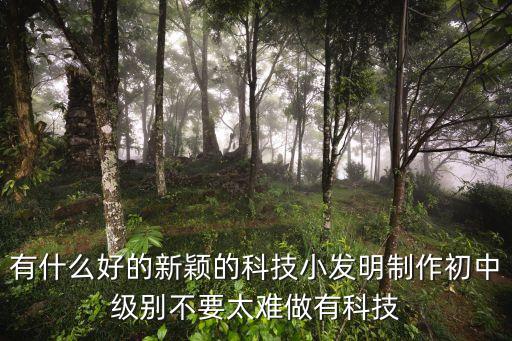 有什么好的新穎的科技小發(fā)明制作初中級別不要太難做有科技