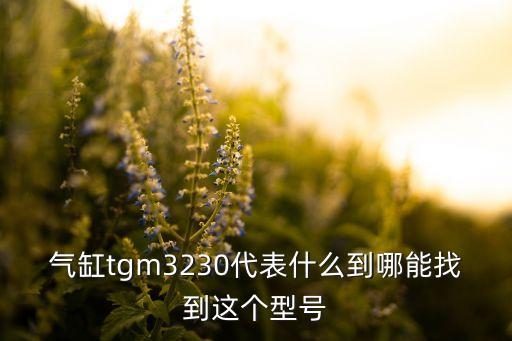 氣缸tgm3230代表什么到哪能找到這個(gè)型號(hào)