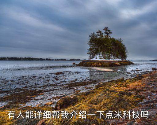 有人能詳細(xì)幫我介紹一下點(diǎn)米科技嗎