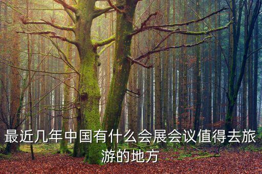 全國(guó)近期的大型展會(huì)，2020年國(guó)內(nèi)會(huì)有什么大型展覽活動(dòng)