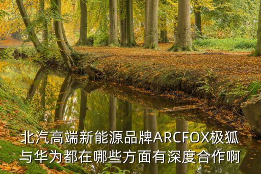 北汽高端新能源品牌ARCFOX極狐與華為都在哪些方面有深度合作啊