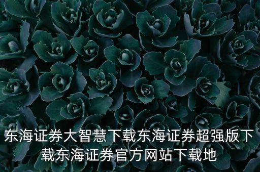 東海證券大智慧下載東海證券超強版下載東海證券官方網(wǎng)站下載地