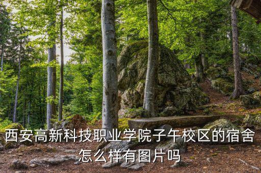 西安高新科技職業(yè)學(xué)院子午校區(qū)的宿舍怎么樣有圖片嗎
