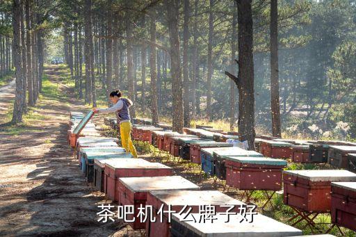 家用茶吧機(jī)十大名牌，茶吧機(jī)品牌都有哪些