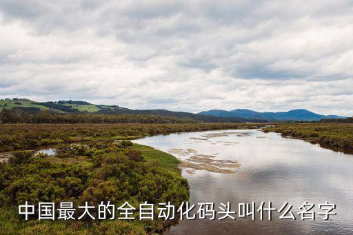 中國最大的全自動化碼頭叫什么名字