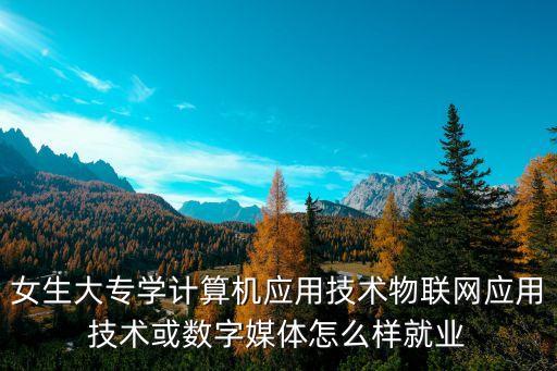 女生大專學(xué)計(jì)算機(jī)應(yīng)用技術(shù)物聯(lián)網(wǎng)應(yīng)用技術(shù)或數(shù)字媒體怎么樣就業(yè)