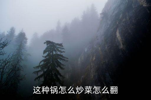 這種鍋怎么炒菜怎么翻