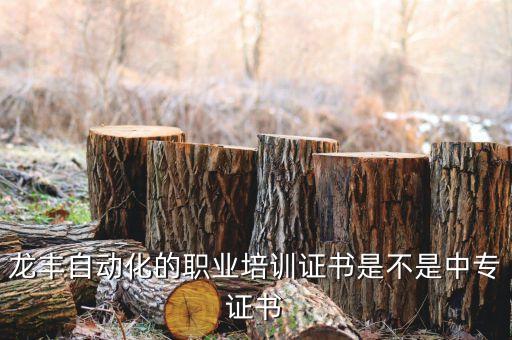 龍豐自動(dòng)化的職業(yè)培訓(xùn)證書是不是中專證書
