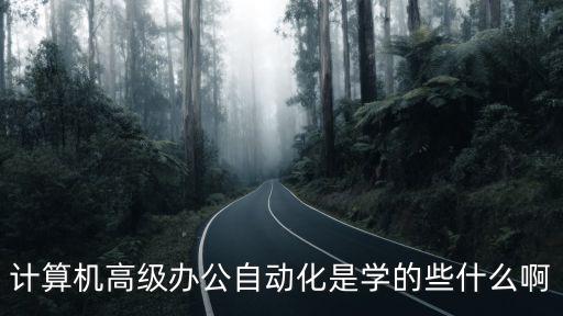 高級辦公自動化應(yīng)用領(lǐng)域，計算機(jī)高級辦公自動化是學(xué)的些什么啊