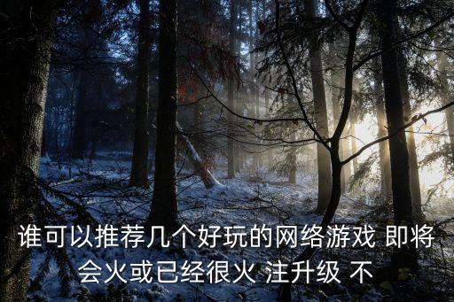 誰(shuí)可以推薦幾個(gè)好玩的網(wǎng)絡(luò)游戲 即將會(huì)火或已經(jīng)很火 注升級(jí) 不