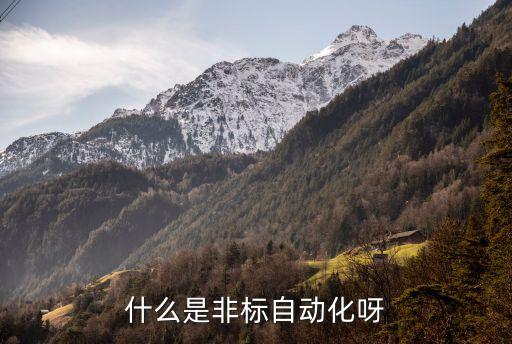 什么是非標(biāo)自動(dòng)化呀