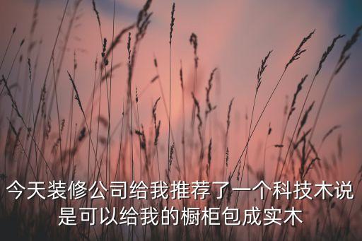 科技木板，推出科技板的目的是什么