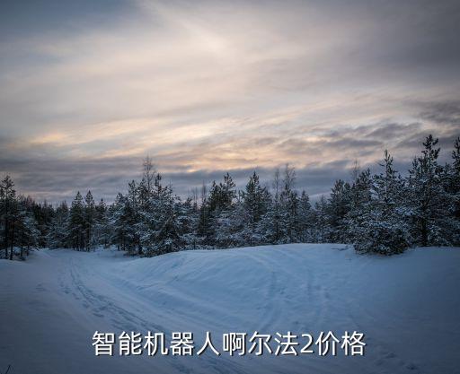 最新智能機(jī)器人多少錢，智能機(jī)器人啊爾法2價(jià)格