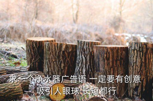 求一個(gè)凈水器廣告語(yǔ) 一定要有創(chuàng)意 吸引人眼球 長(zhǎng)短都行