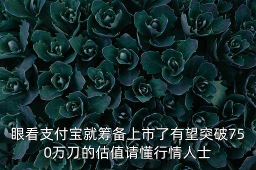 眼看支付寶就籌備上市了有望突破750萬刀的估值請(qǐng)懂行情人士
