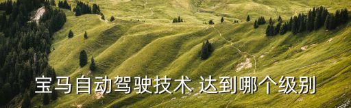 智能駕駛技術(shù)排名，新能源汽車排行榜上哪款車智能駕駛做的最好