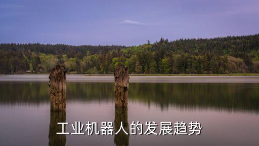 工業(yè)機(jī)器人的發(fā)展趨勢