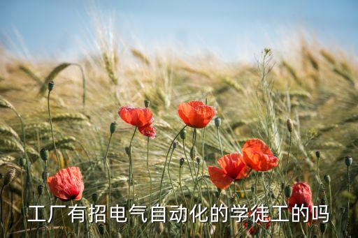 工廠有招電氣自動(dòng)化的學(xué)徒工的嗎