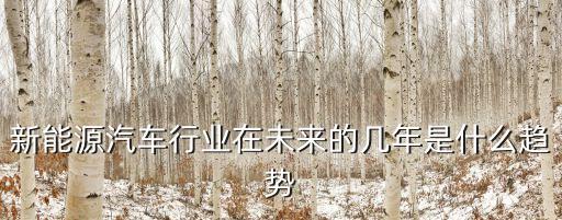 新能源汽車未來的發(fā)展趨勢(shì)，現(xiàn)在的新能源發(fā)展方向