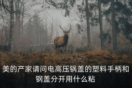 美的產(chǎn)家請(qǐng)問(wèn)電高壓鍋蓋的塑料手柄和鋼蓋分開(kāi)用什么粘