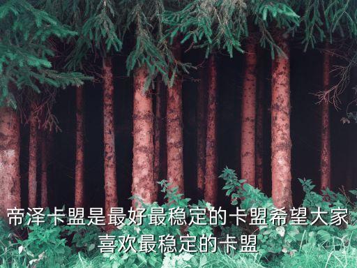 帝澤卡盟是最好最穩(wěn)定的卡盟希望大家喜歡最穩(wěn)定的卡盟