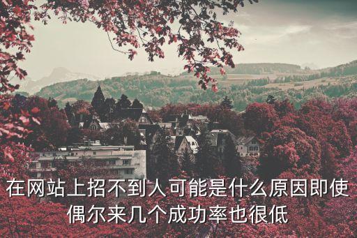 在網(wǎng)站上招不到人可能是什么原因即使偶爾來幾個(gè)成功率也很低
