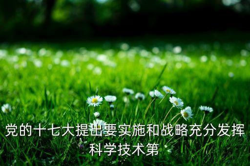 黨的十七大提出要實(shí)施和戰(zhàn)略充分發(fā)揮科學(xué)技術(shù)第