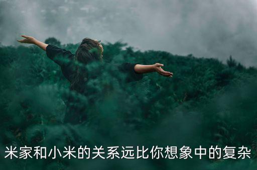 米家產(chǎn)品，米家和小米的關(guān)系遠(yuǎn)比你想象中的復(fù)雜