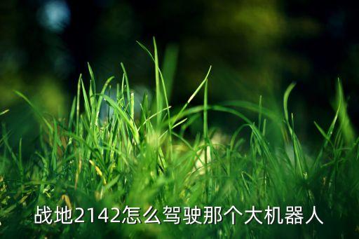 戰(zhàn)地2142怎么駕駛那個大機器人