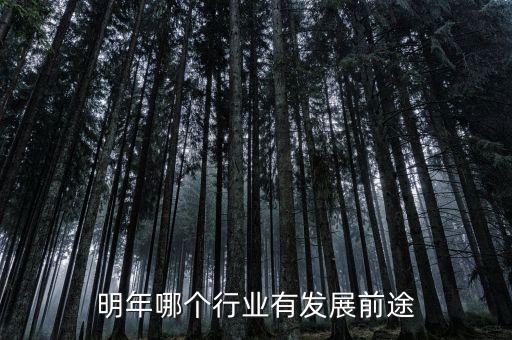 明年什么行業(yè)前景好，明年什么行業(yè)最有潛力