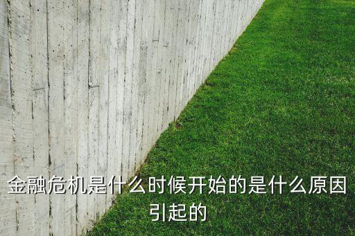 神豪 從金融危機(jī)開(kāi)始，金融危機(jī)下企業(yè)市場(chǎng)風(fēng)險(xiǎn)形成原因謝謝大神了急急