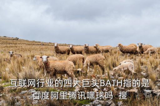 互聯(lián)網(wǎng)行業(yè)的四大巨頭BATH指的是百度阿里騰訊嘿球嗎  搜