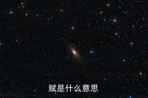 賦是什么意思