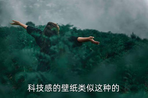 科技感的壁紙類似這種的