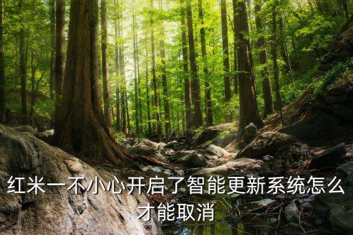 紅米一不小心開啟了智能更新系統(tǒng)怎么才能取消