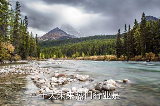 十大未來熱門行業(yè)是