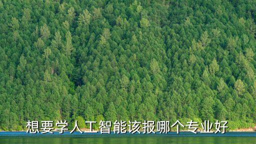 想要學(xué)人工智能該報哪個專業(yè)好