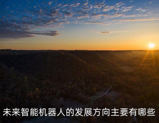 未來(lái)智能機(jī)器人的發(fā)展方向主要有哪些